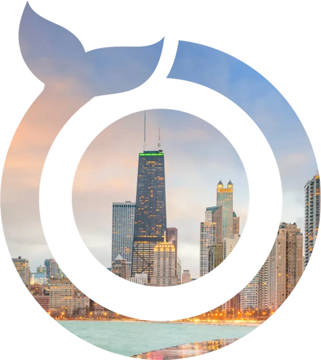 mobile app development chicago